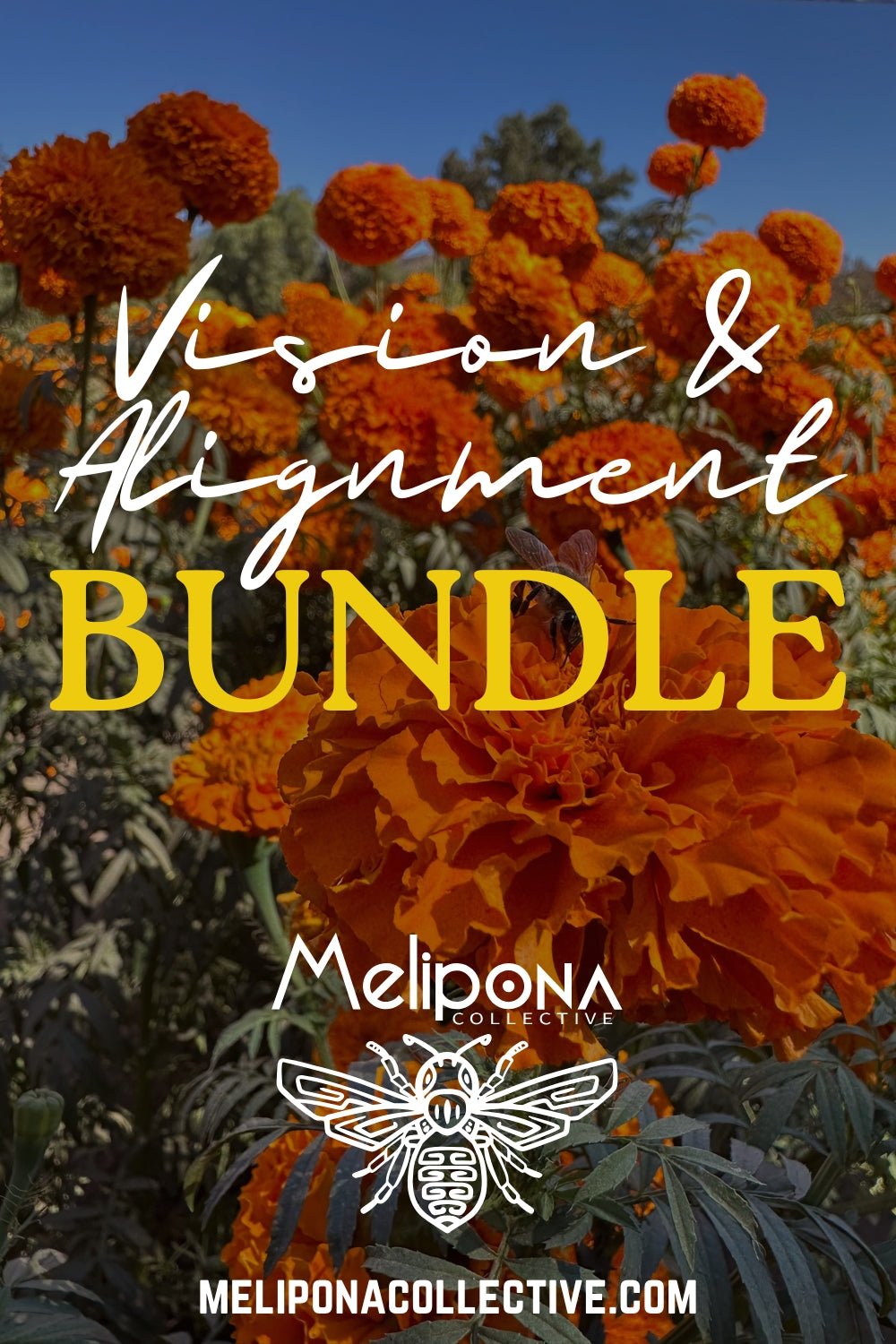 The Vision and Alignment Bundle - meliponacollective