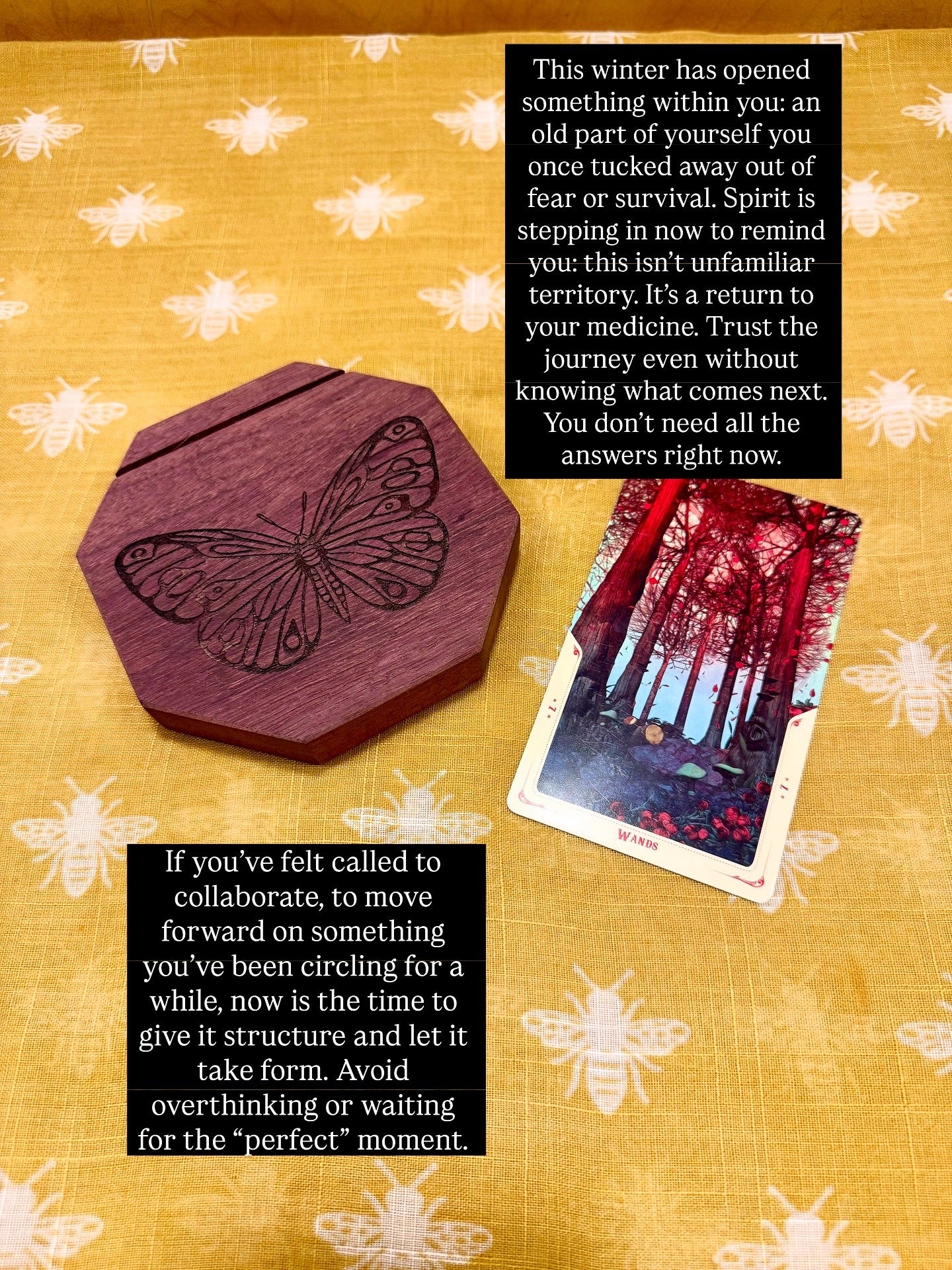 Porta cartas del Tarot de tres maíz