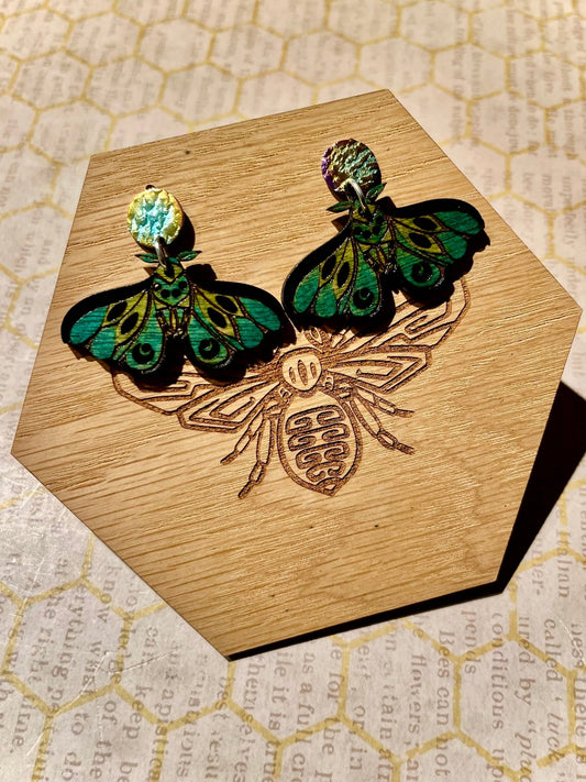 Moth Earrings - meliponacollective