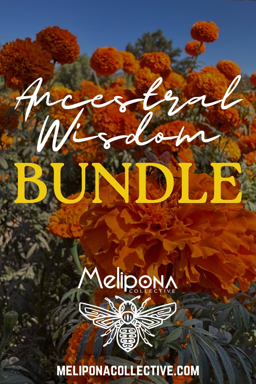 The Ancestral Wisdom Bundle - meliponacollective