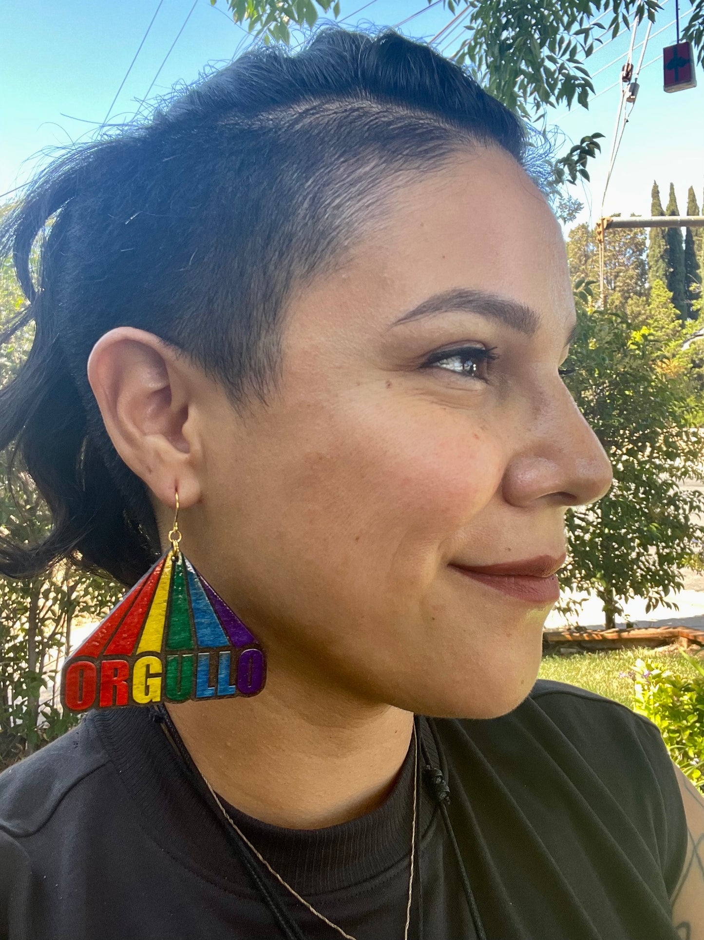"Orgullo" Pride Earrings